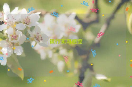 银行实习感受