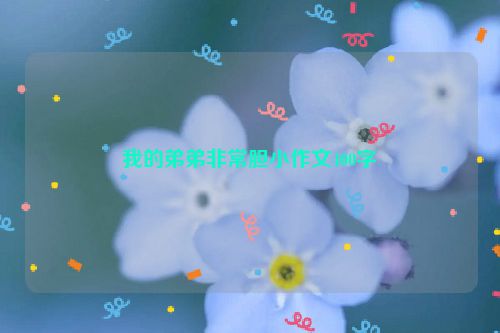 我的弟弟非常胆小作文400字