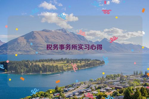 税务事务所实习心得