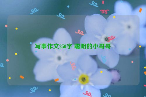 写事作文250字 聪明的小哥哥