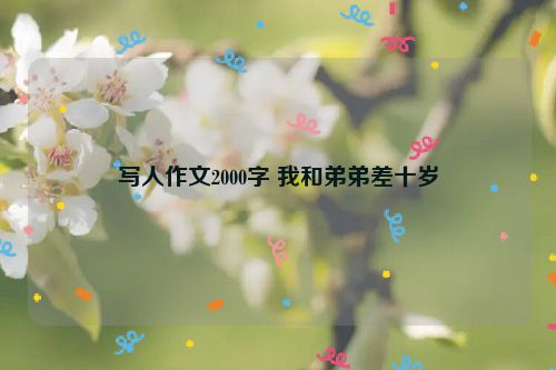 写人作文2000字 我和弟弟差十岁