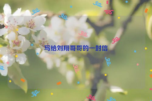 写给刘翔哥哥的一封信
