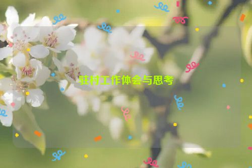 驻村工作体会与思考