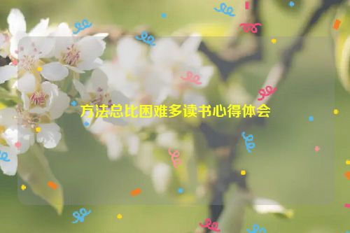 方法总比困难多读书心得体会