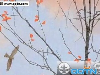 男生个性qq伤感签名