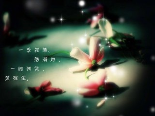 卑微的个性签名 一季花落，落满地。一脸残笑，笑苍生。