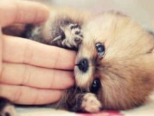 qq个性非主流签名大全最新版本 一旦花开迅即枯萎