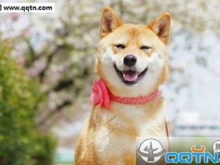 最新经典搞笑签名个性精选 零食蛋糕一时爽