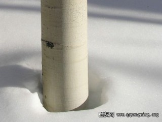 幸福签名: 跟我走吗，我有旺仔牛奶，走！-女生签名