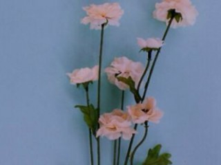 关于暗恋的个性签名精选大全 莫名奇妙耗尽了时光