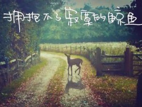 关于表白的个性签名 我一人�过浑水越过四季