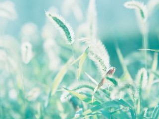 微博唯美伤感个性签名大全 她也想做你盖世英雄