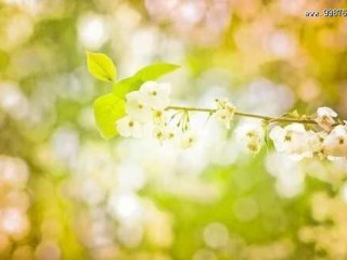 任何经历，都是一种积累