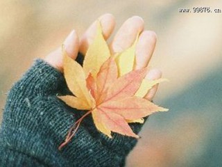 感悟人哲理句子精辟的 哲理的句子说说心情