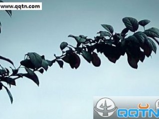 qq个性伤感签名男生最新版 我们一直都在各奔东西