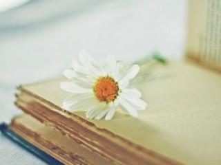 不舍得毕业的个性签名 我们不得不分离轻声地说声再见