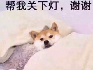 七夕单身狗搞笑的个性签名 论一个人一辈子的禽兽史