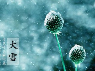 关于大雪唯美的个性签名 如今我独自哭泣