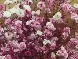 最新个性伤感颓废签名 骗你的人比爱你的人会说