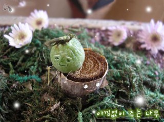 我什么都可以失去 但不想失去你_时尚潮流的个性签名
