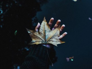 留不住的人像阵风遇见就离开 心酸的qq伤感个性签名