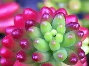 悲伤的让人想哭的个性签名 没有唱出我心里的曲折
