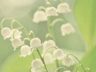 英文带有翻译的悲伤个性签名 if I still love you