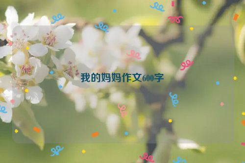 我的妈妈作文600字
