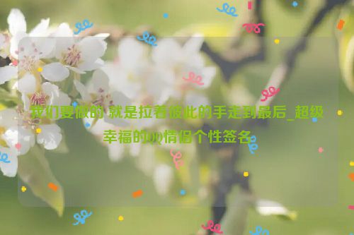 我们要做的 就是拉着彼此的手走到最后_超级幸福的QQ情侣个性签名