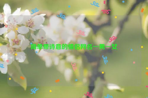 简单带诗意的情侣网名一男一女
