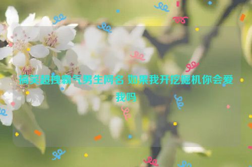 搞笑超拽霸气男生网名 如果我开挖掘机你会爱我吗
