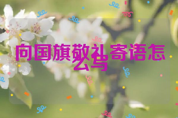 向国旗敬礼寄语怎么写