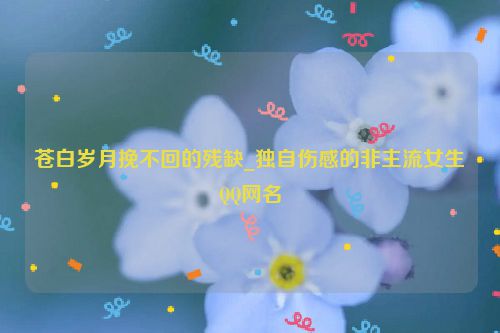 苍白岁月挽不回的残缺_独自伤感的非主流女生QQ网名