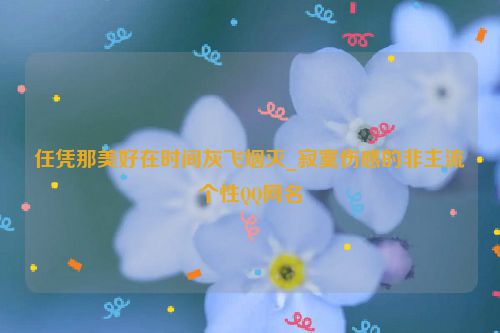 任凭那美好在时间灰飞烟灭_寂寞伤感的非主流个性QQ网名