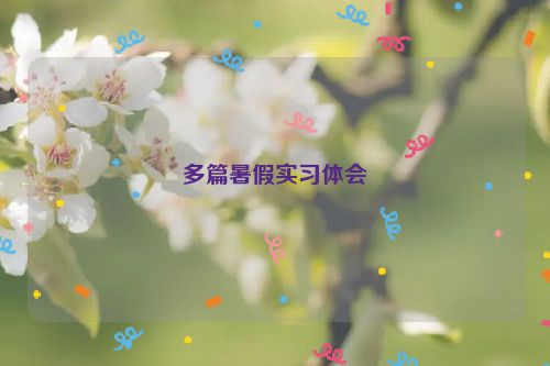 多篇暑假实习体会