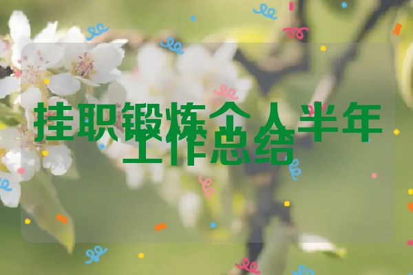 挂职锻炼个人半年工作总结