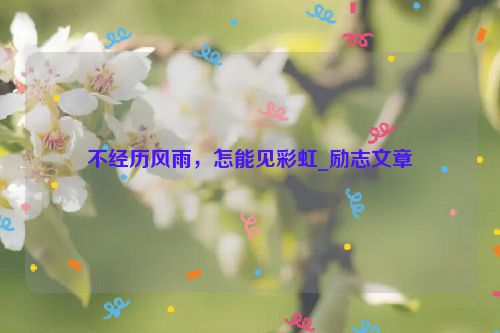 不经历风雨，怎能见彩虹_励志文章