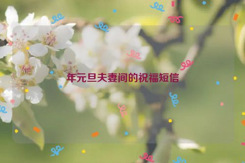 年元旦夫妻间的祝福短信
