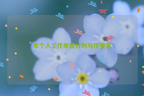 年个人工作年度计划写作要求
