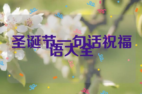 圣诞节一句话祝福语大全
