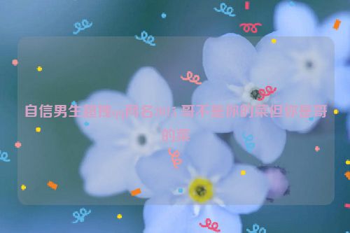 自信男生超拽qq网名2015 哥不是你的菜但你是哥的菜
