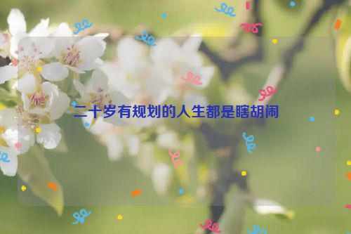 二十岁有规划的人生都是瞎胡闹