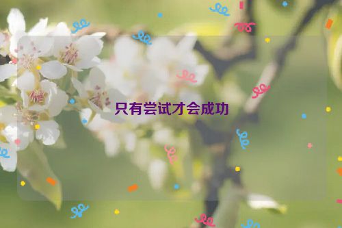 只有尝试才会成功