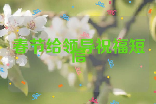 春节给领导祝福短信