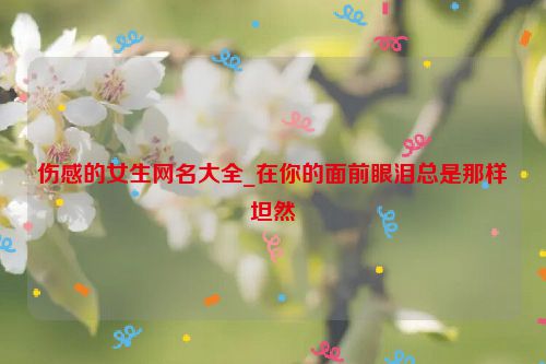 伤感的女生网名大全_在你的面前眼泪总是那样坦然