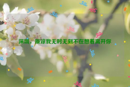 深圳，原谅我无时无刻不在想着离开你