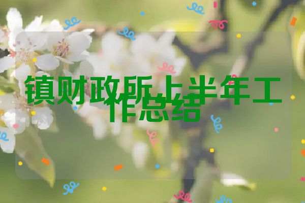 镇财政所上半年工作总结