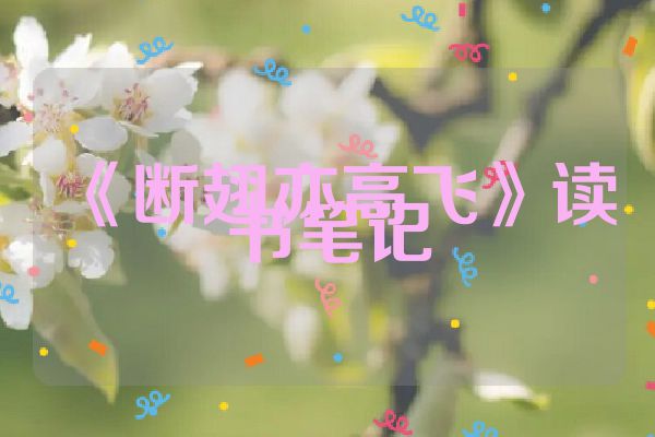 《断翅亦高飞》读书笔记