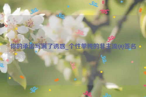你的承诺写满了诱惑_个性单纯的非主流QQ签名