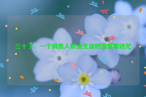 三十了，一个销售人职业生涯的困惑和迷茫